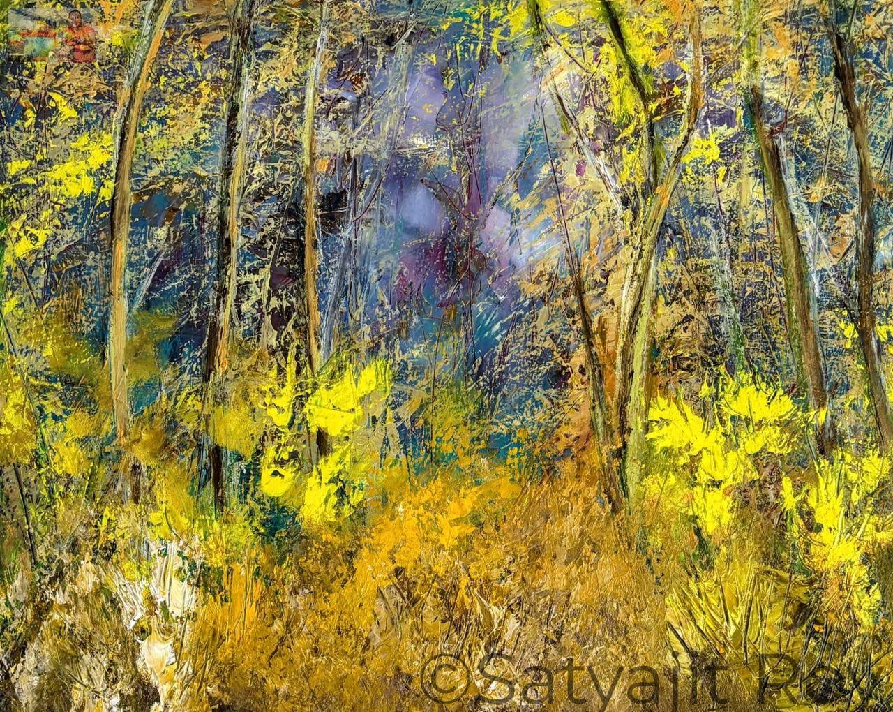 Forest Light and Shadow